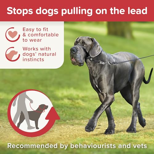 Beaphar | Gentle Leader | Halfter für große Hunde | Stoppt das Ziehen an der Leine | Trainingshilfe mit Sofortwirkung | von Verhaltensweisen empfohlen | Schwarz x 1