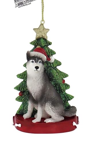 Siberian Husky Dog Wearing Santa Hat with Christmas Tree Ornament