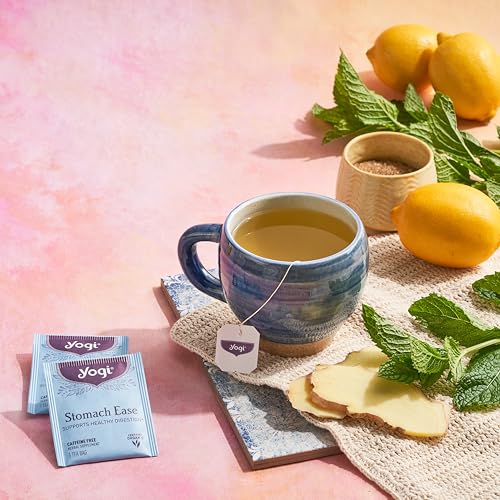 Yogi Tea, Stomach Ease, 16 Count