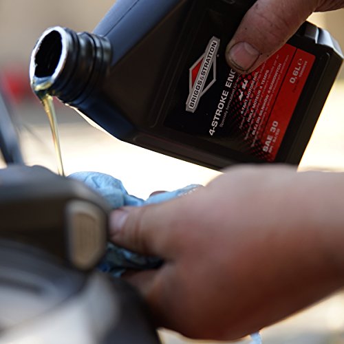 Briggs & Stratton 100005E SAE30 olie, 0,6 liter - Afbeelding 6