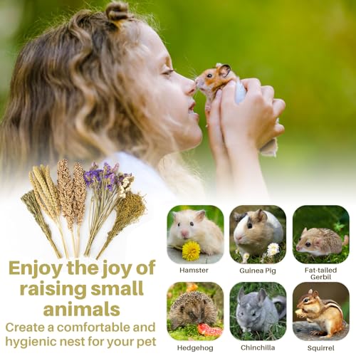 Sukh Natural Hamster Bedding Sprays - Foraging Habitat Decor Cage Accessories, Hideout Enrichment for Dwarf & Syrian Hamsters, Gerbils, Mice and Other Small Animals - Thumbnail 7