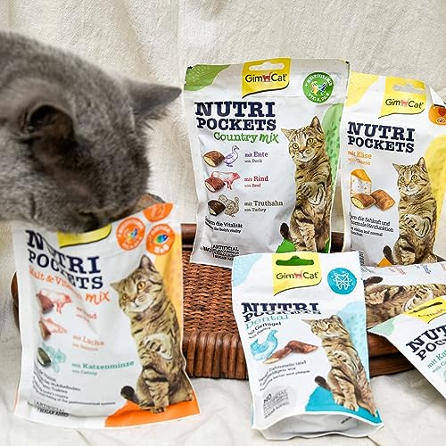 GimCat Nutri Pockets Fisch Lachs - Knuspriger Katzensnack mit funktionalen Inhaltsstoffen - 1 Beutel (1 x 60 g) – Bild 3