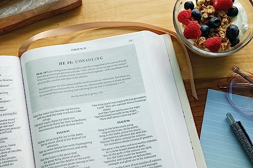 Image of Flourish: The NIV Bible for Women, Hardcover, Multi-color /Cream, Comfort Print