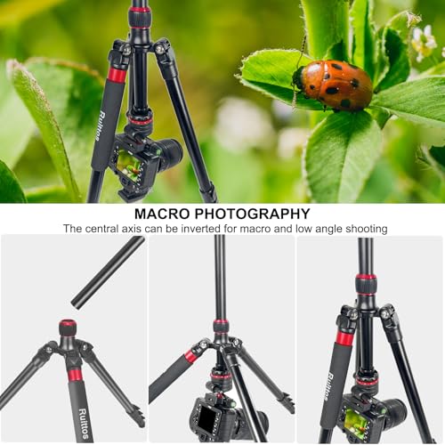 Image of Travel Tripod, 70 inch Camera Tripod Monopod with Ball Head Lightweight Aluminum Portable for DSLR /SLR Cameras, Video Camcorders, Action Cameras, Phones, Telescopes...8.8lbs (TM70-LB36)