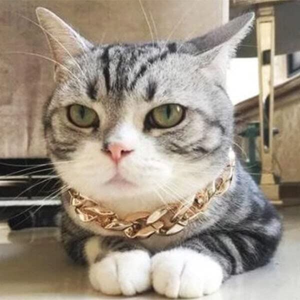 Taiyo Pluss Discovery Pet Necklace Accessories Dogs,Cats Medium And Large Sized Gold Dog Chain(60 Cm)Gold Color(23 Inch) (B0BWF779ZS) Amazon Price History, Amazon Price Tracker