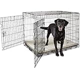 Petco Brand - You & Me 2-Door Folding Dog Crate, 42' L x 28' W x 30' H, X-Large