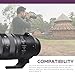 Sigma 70-200mm f/2.8 DG DN OS Sports Lens for Sony E, Bundle with Lens Case, Filter Kit, Lens Cap Tether, Cleaning Kit and Cleaning Cloth, 4 Year Limited Warranty