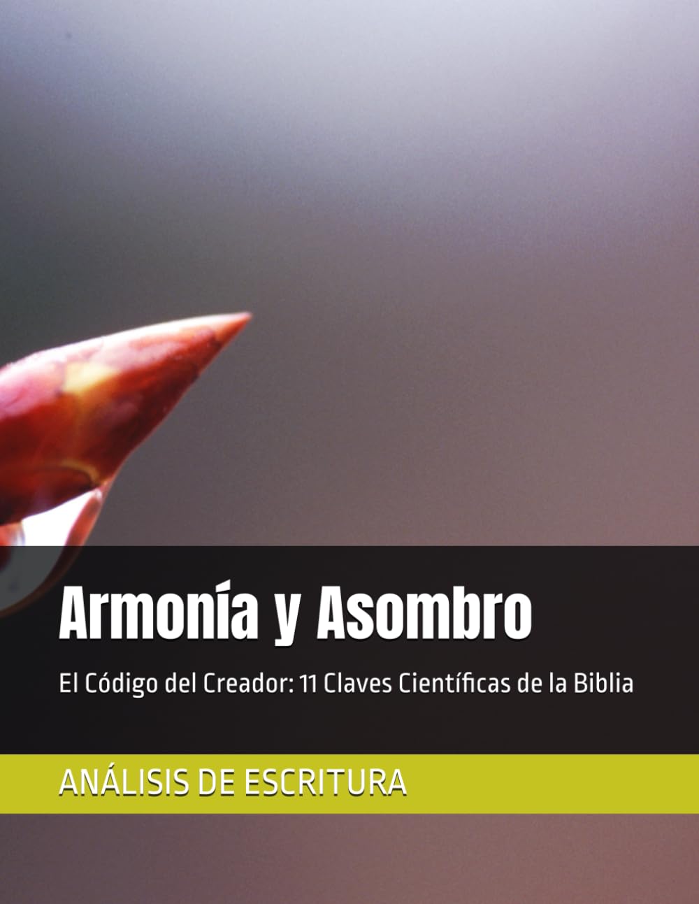 Armonía y Asombro: El Código del Creador: 11 Claves Científicas de la Biblia