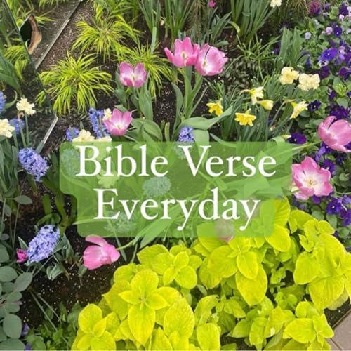 January 13, 2026 - Morning Devotions copertina