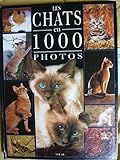  Chats 1000 photos
