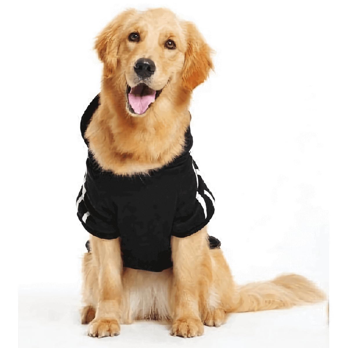 Hunde Hoodie Trainingsanzug – Warm & Niedlich Für Kleine Bis Mittlere Hunde