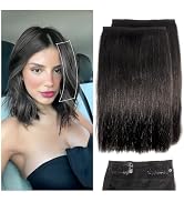 2 Pcs Short Hair Extensions, Human Hair Clip in Extensions, Real Hair Extensions Clip in Human Ha...