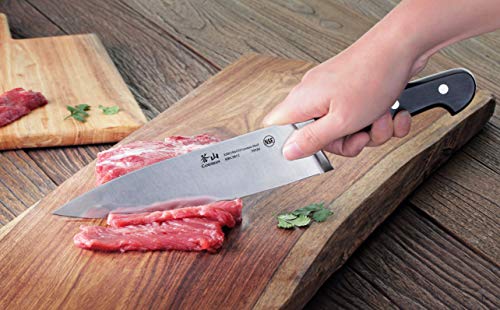 Cangshan V2 Series 1022520 German Steel Forged 5-Piece Starter Knife Block Set, Acacia #TOP5