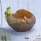 Maceta suculenta de escritorio Mini maceta, soporte de resina para plantas, decoración de maceta Mini maceta suculenta, maceta suculenta para adorno de(Frog predation)