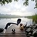 1Pc Fishing Spinning Reel Handle Grip Replacement, Fishing Reel Handle Plastic Fishing Reel Power Handle Crank Arm Spinning Reel Folding Rotary Knob Repair Parts Black Fishing Reels and Accessories