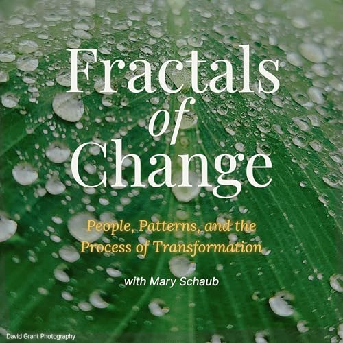 Fractals of Change cover art