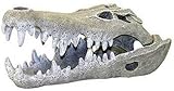 Exotic Environments Nile Crocodile Skull Aquarium Ornament, Large, 6-Inch by 11-1/2-Inch by 5-Inch