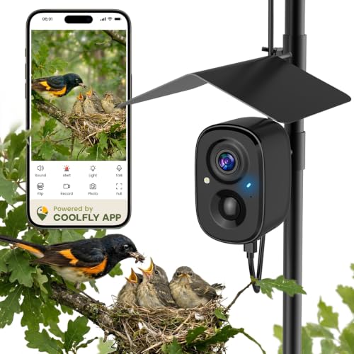 Have security usb camera
