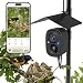 Smart Bird Camera Solar Powered with Pole for Feeder/Bath Birdwatching | 2.5K UHD Video A…
