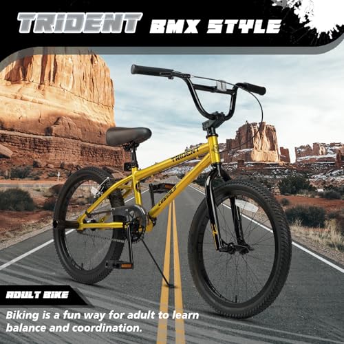 cubsala 20 Inch Gold BMX Race