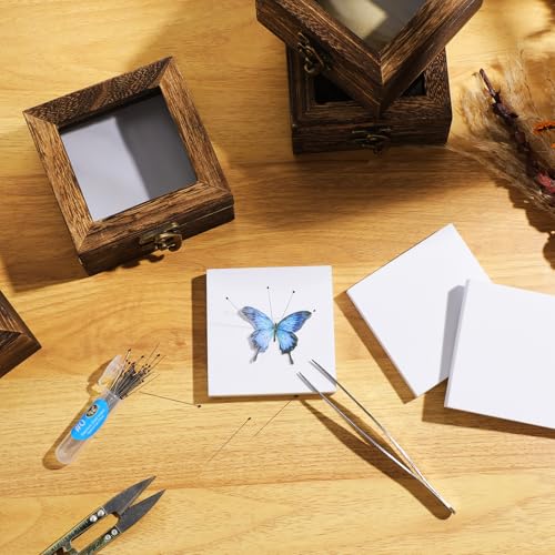 Image of Reallnaive 4 Pcs Insect Pinning Kit 4 inch Wooden Display Case Box, EVA Foam Insect Pinning Board, 100 Bug Pins for Butterfly Specimen Bugs Collection Tools(Carbonized Brown)