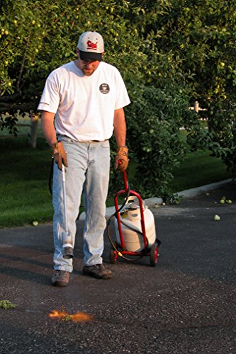 Red-Dragon-VT-3-30-C-500000-BTU-Heavy-Duty-Propane-Vapor-Torch-Kit