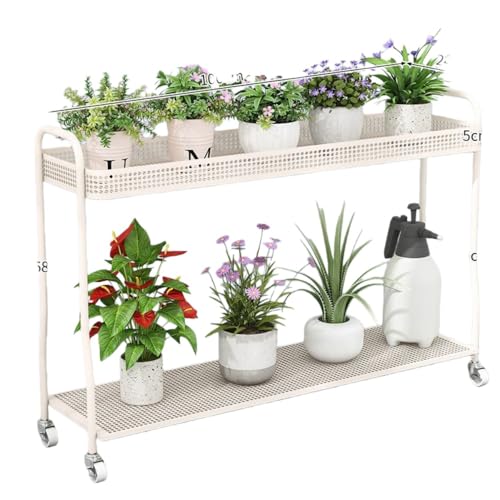 PazekuK[fX^ht[X^hA KтȂ LX^[t ړe  K[fpi Api  oRj[ rO[A[Ax_AOA (60*24*68,zCg)