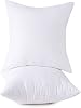 Throw Pillow Inserts, 20x20 Inch Decorative for Sofa, Bed and Chair, Cotton Cover, Set of 2, White