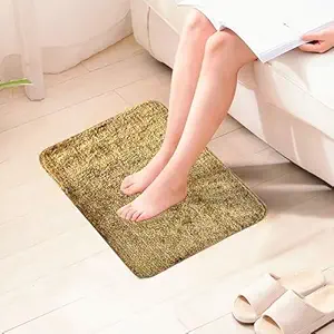 COLOR MAXX Bath Mats for Bathroom | Doormat for Bathroom|Bathroom Anti Skid Mats for Bathing Area|Anti Slippery Bathroom Mat | (40 x 60 cm) Soft Brown (Pack of 2)|