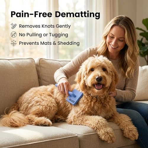 Slicker Brush for Dogs, Dog Grooming Supplies - Best Doodle & Poodle Brush for Haired Dogs - Goldendoodle Pin Detangler for Dematting (Large Curved)