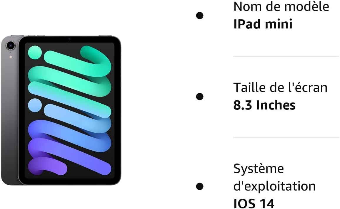 Apple 2021 iPad Mini (8,3-Pouces, Wi-FI, 64 Go) Gris Sidéral (Reconditionné)