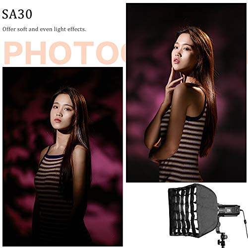 GODOX SA-30 30cm x 30cm Softbox mit Gitter für S30 LED Fokussierlicht (SA30)
