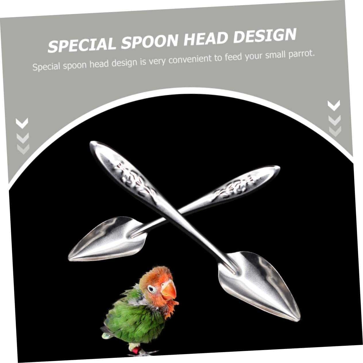 Beatifufu 6pcs Stainless Steel Spoon Bird Feeder Spoon Hand Feeding Formula for Birds Bird Feeding Bird Parrot Feeding Spoon Feeding for Babies Bird Spoon Baby Hand Raised Suite