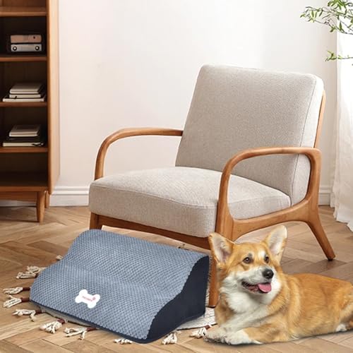 Rampa para perros en el hogar ideal para subir al sofá de forma segura 5