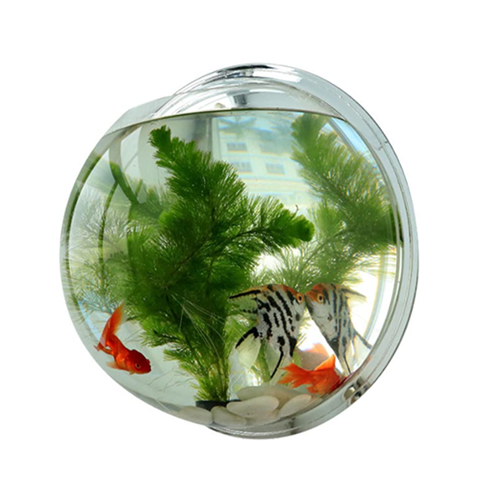 Wall-Hanging Acrylic Fish Tank Wall Hanging Vase Flower Pot Room Decoration