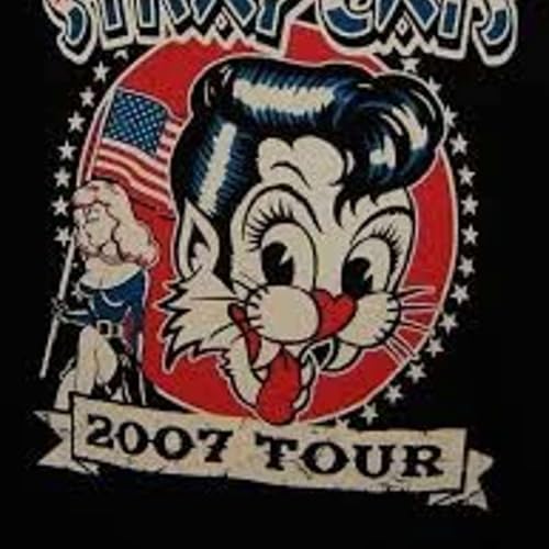 ZZ Top, Pretenders, & Stray Cats Concert