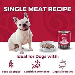 KOHA Limited Ingredient Diet Beef Entrée for Dogs – Single Meat Sensitive Stomach Canned Dog Food – High Protein Dog Food Wet No Fillers 13 oz Pack of 12