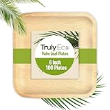 TRULY ECO 6 Inch 100 Square Palm Leaf Plates – Compostable, Biodegradable, Eco-Friendly – Like Bamboo Disposable Plates for Party, Wedding, Picnic – Sturdy, Heat Proof & Leak Proof