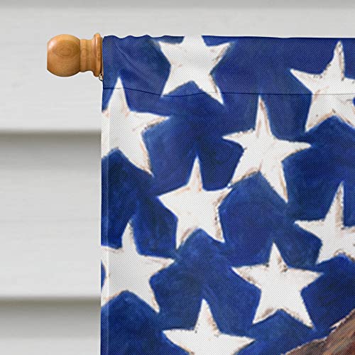 Drapeau Welsh Springer Spaniel USA grand format en toile Caroline's Treasures SC9024CHF