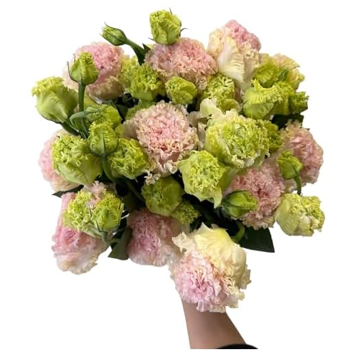 Fresh Cut Lisianthus Flower Bouquet