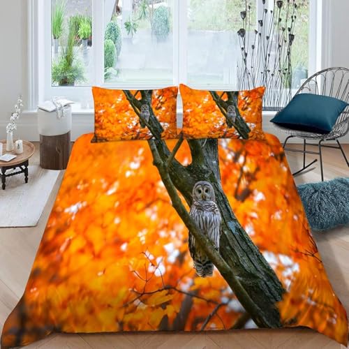 Funda Nordico Cama 105 Juvenil Búhos Funda