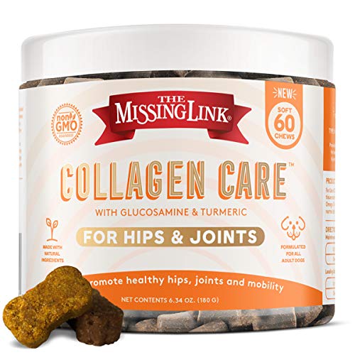 Top 10 Best Collagen For Dogs in 2023 Reviews by Experts