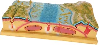 Milageto Geographic Tectonic Plate 3D Model Kit Teaching Tool