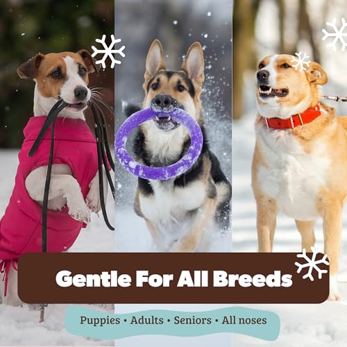 Natural Dog Company Snout Soother Travel Stick 0.15 oz – All Natural Dog Nose Balm for Dry, Cracked Snouts – Organic Moisturizing & Soothing Balm – Lick-Safe Mini Snout Care, Made in USA