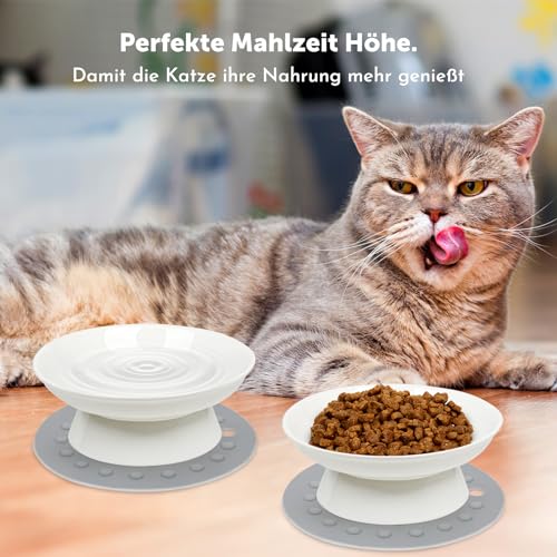 Katzennapf,2 Stück Futternapf Katze Aus Keramik Erhöhter Zervixschutz-Katzennapf Futternapf Katze Erhöht Fressnäpfe Katzen Für Katzen Mit Wasser, Trockenfutter, Nassfutter