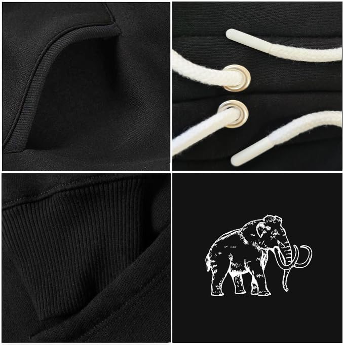 picontshirt 100% Cotton Heavyweight Mammoth Oversize Hoodies for Men and Women4