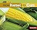 From Kernel to Corn (Start to Finish, Second Series)