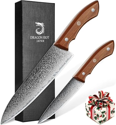 DRAGON RIOT Damastmesser Set, Küchenmesser Set aus 67 Lagen Damaststahl mit Ergonomischer Griff, 2-teilig Messerset Damast, Japanisches Messerset,...