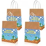 HMJDMM 20 pcs birthday party supplies include hedgehog themed goodie bags, party bags, Party Gifts for Boys and Girls