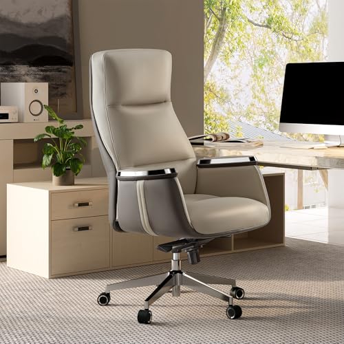 EUREKA ERGONOMIC Royal II Executive Office Chair High Back, Big and Tall with Extra Wide Seat, Silicone Leather Desk Chair Computer Chair, Modern Office Chair Home Office Desk Chairs - Beige Gray